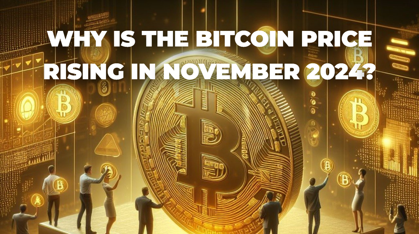 WHY IS THE BITCOIN PRICE RISING IN NOVEMBER 2024?